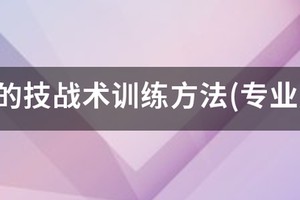 如何快速练习篮球技战术